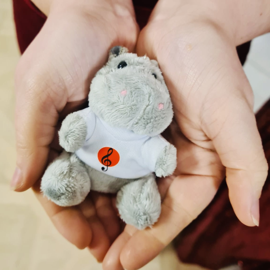 Pack Spécial Noël – USB 2025 + Peluche Hippo + Dédicace