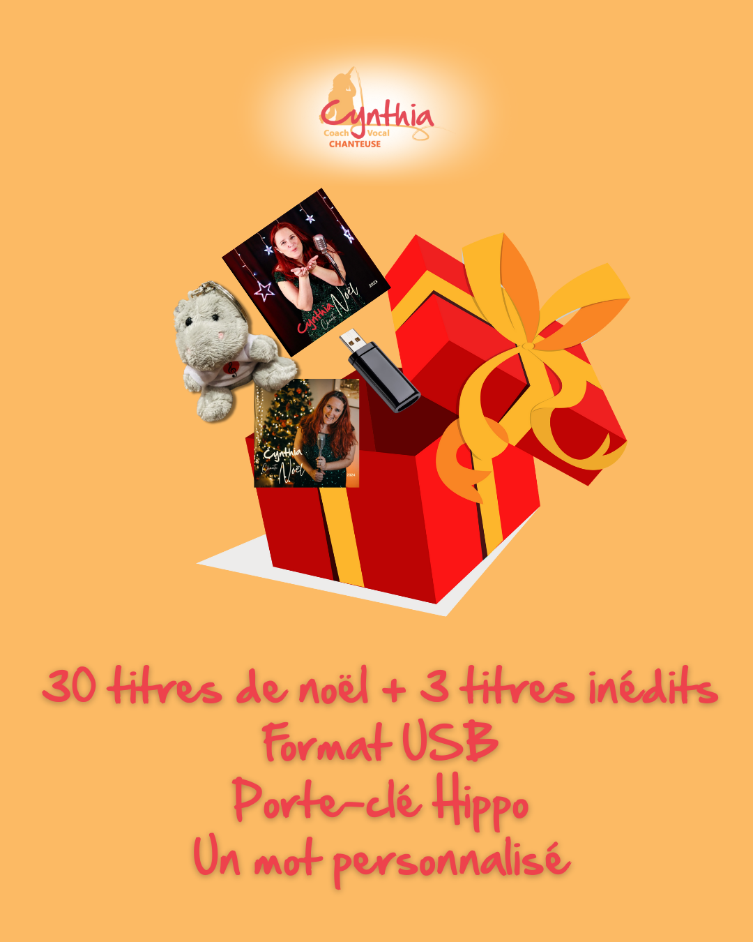 Pack Spécial Noël – USB 2025 + Peluche Hippo + Dédicace